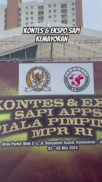 Kontes-Sapi-APPSI-Kemayoran-Piala-Pimpinan-MPR-RI